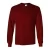 Danami Long Sleeve Round Neck T-Shirt in Wine